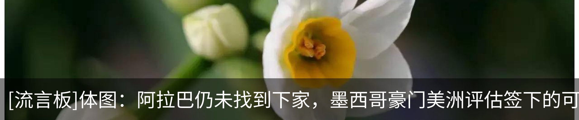 热点资讯